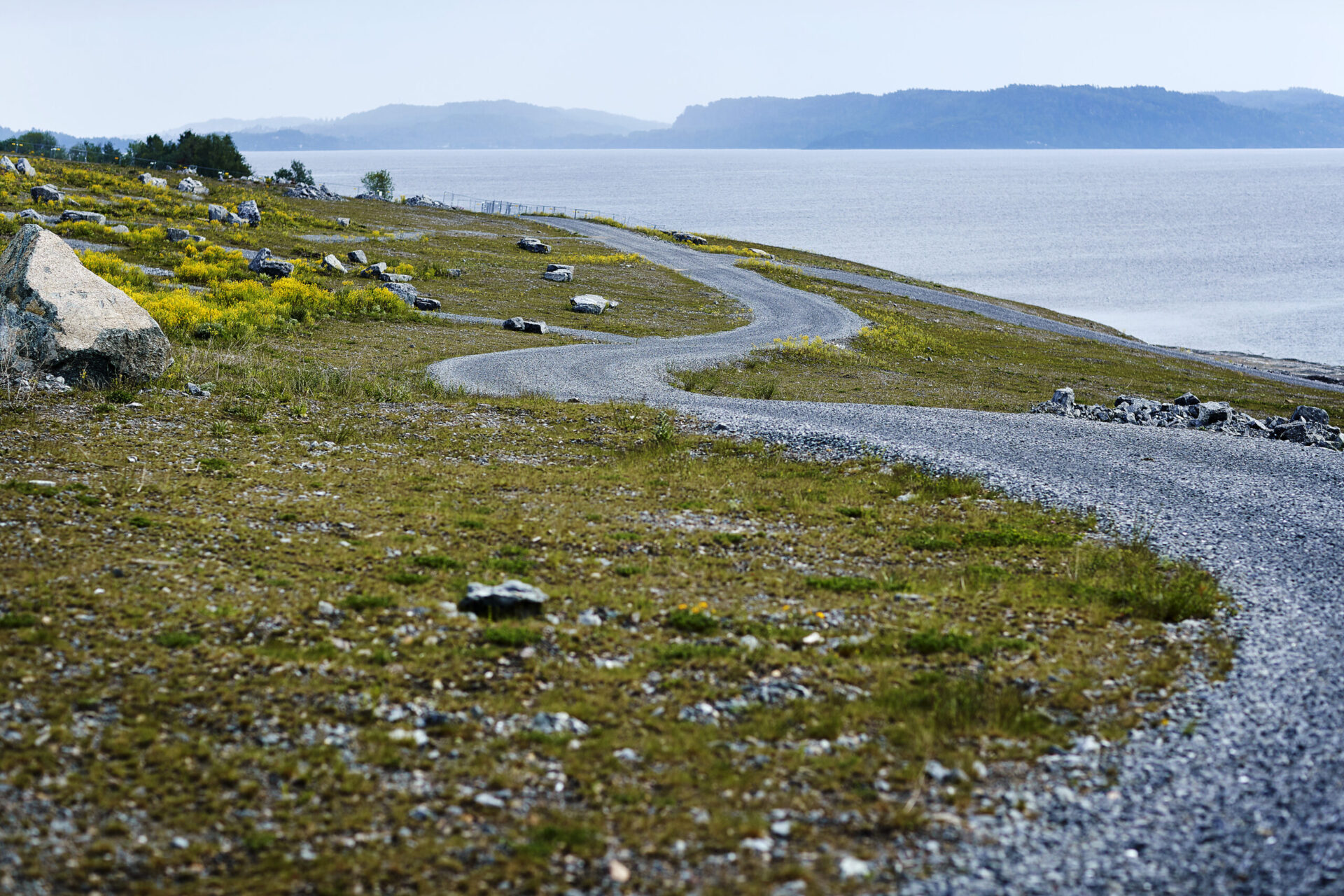Noah Langøya_8031_Veien videre